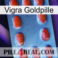 Vigra Gold Pill 06